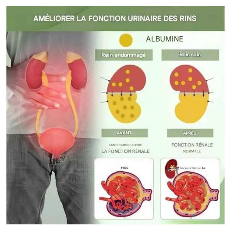 GINSENG +