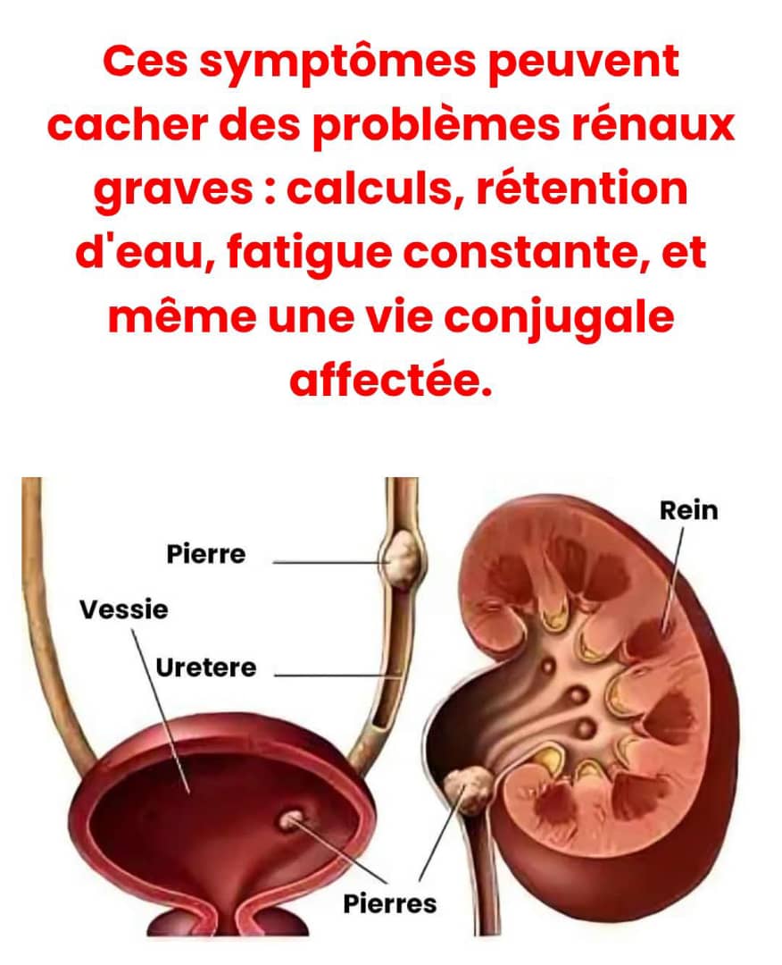 GINSENG + DETOX REIN